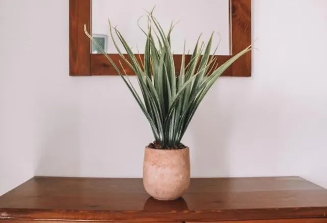 Aparthotel Perseas 3*