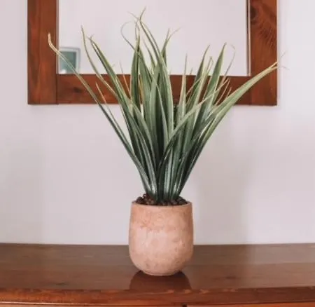 מלון דירות Perseas 3*